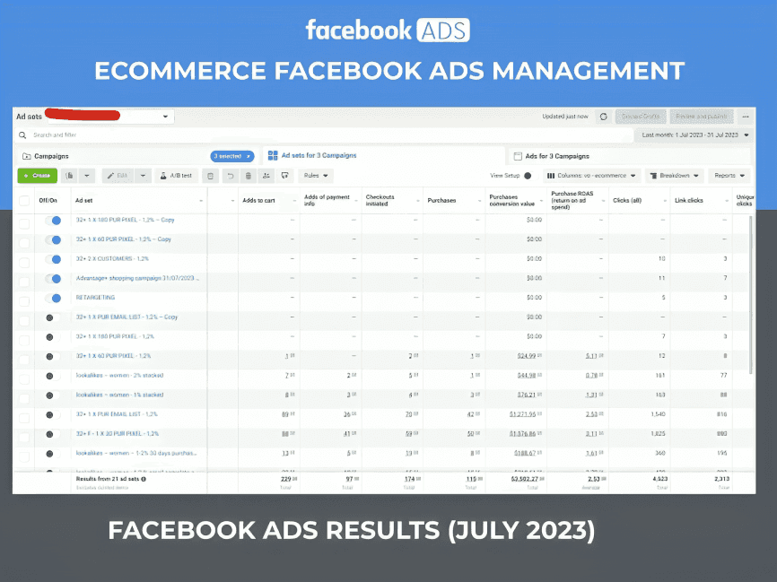 Skincare Facebook ad campaign management dashboard