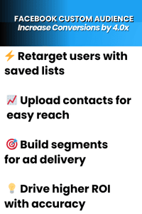 Custom audience targeting for contractors in Chicago